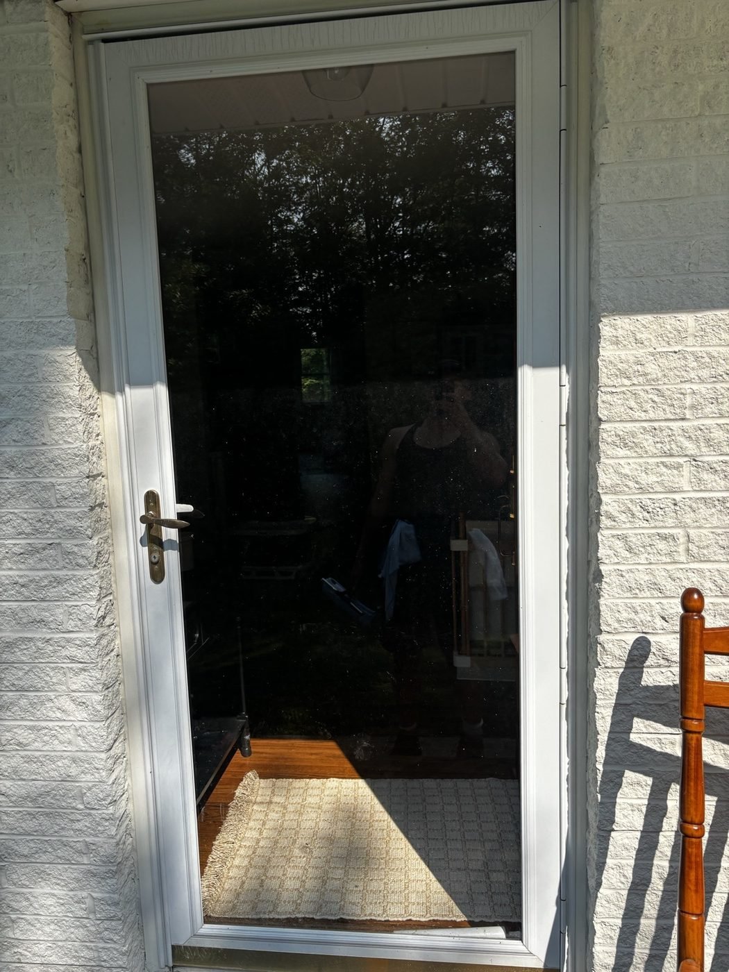 Before — full-length glass storm door